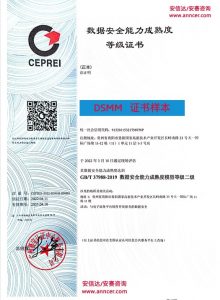 DSMM认证证书